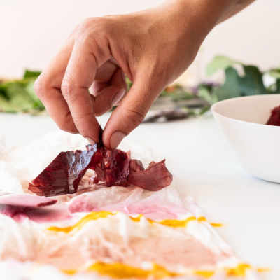 Primal Queen Beef Organs Review: Are These Ancestral Supplements Worth It?