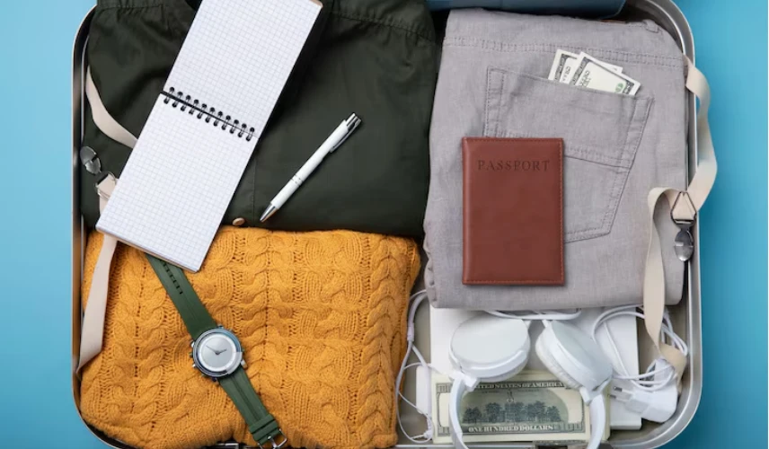 travel back essentials